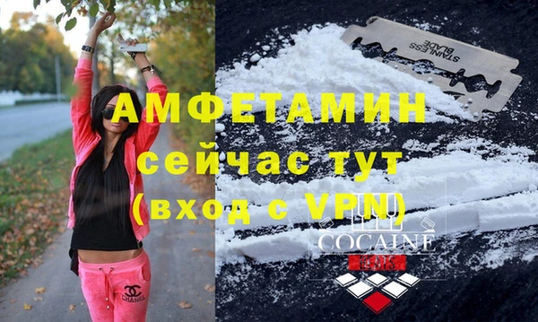 трава Бородино