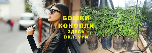 крисы Бугульма