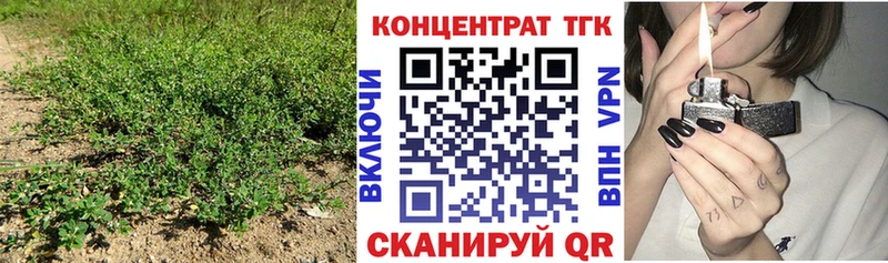 ТГК Wax Казань